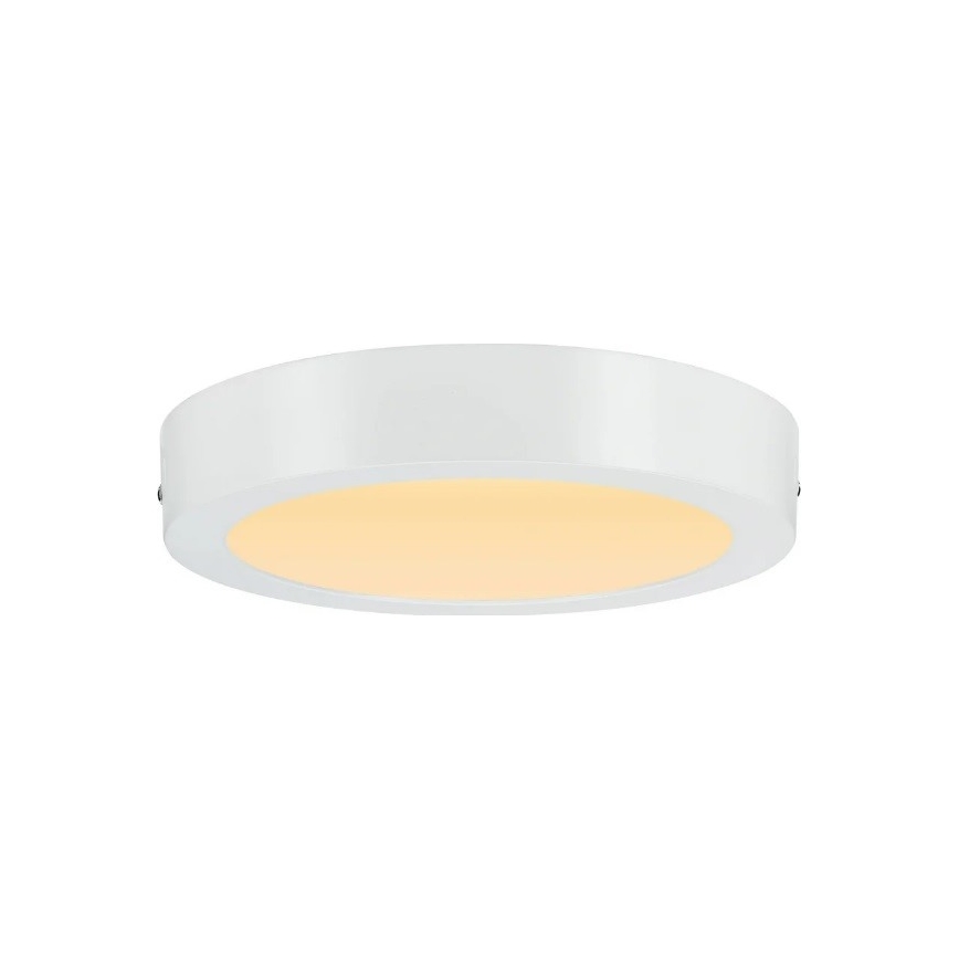 Paulmann 79795 - LED/13W Loftlampe CARPO 230V 2300/2500/3000K