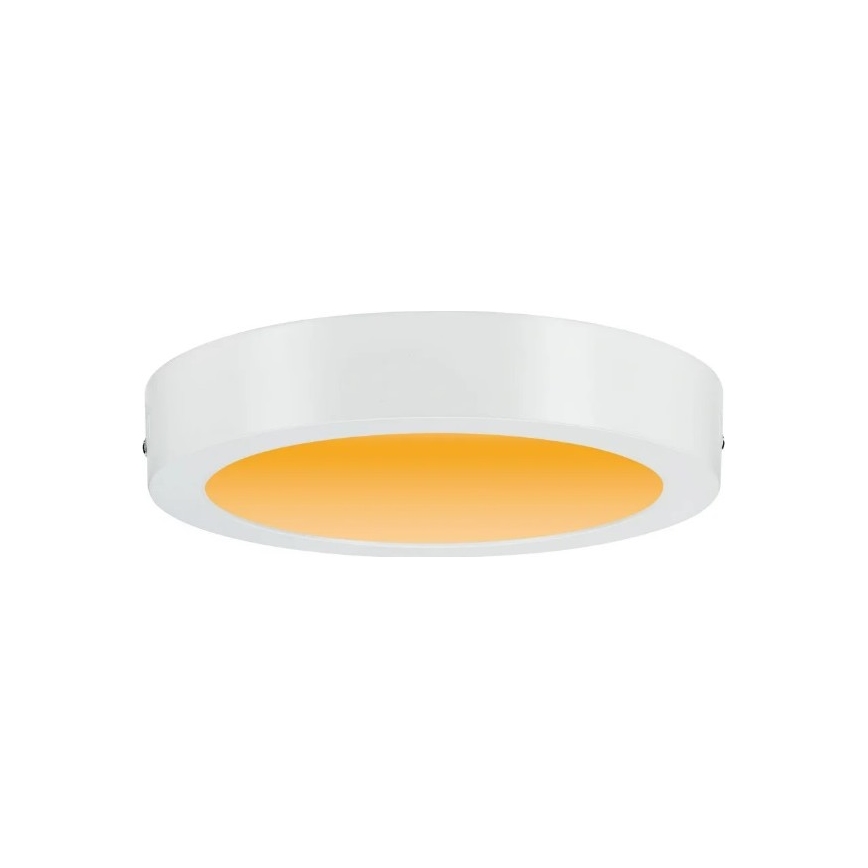 Paulmann 79795 - LED/13W Loftlampe CARPO 230V 2300/2500/3000K
