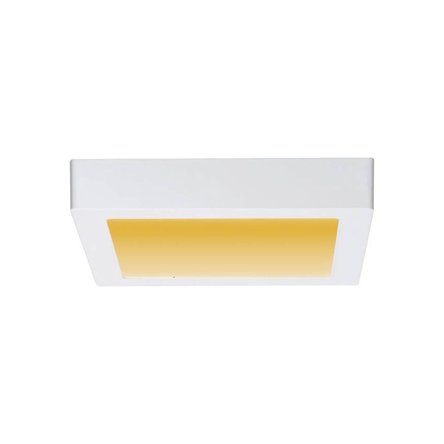 Paulmann 79796 - Loftlampe CARPO LED/13W 230V 2300-3000K