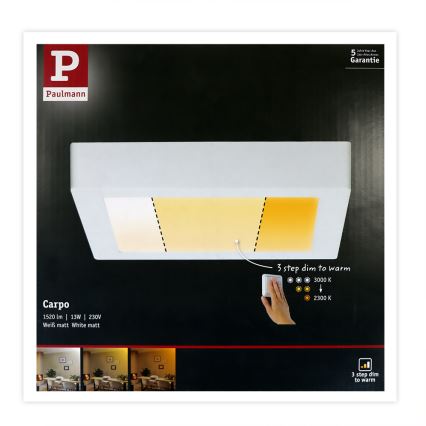 Paulmann 79796 - Loftlampe CARPO LED/13W 230V 2300-3000K