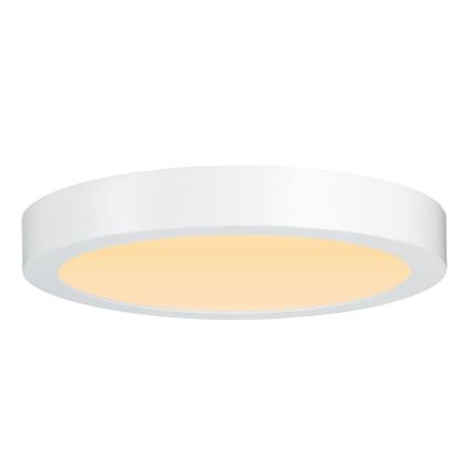 Paulmann 79799 - LED/19W Loftlampe CARPO 230V 2300/2500/3000K