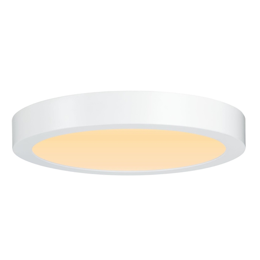 Paulmann 79799 - LED/19W Loftlampe CARPO 230V 2300/2500/3000K