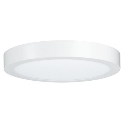 Paulmann 79799 - LED/19W Loftlampe CARPO 230V 2300/2500/3000K