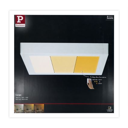 Paulmann 79801 - Loftlampe CARPO LED/13W 230V 2300/2500/3000K