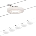 Paulmann 94109 - Sæt 5xLED/4,3W komplet kabelsystem MAC 230V hvid