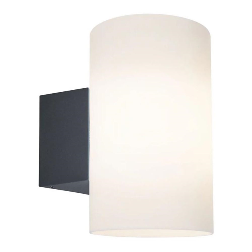 Paulmann 94186 - 1xE27/15W IP54 Udendørs væglampe TUBE 230V