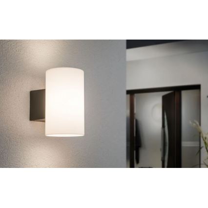 Paulmann 94186 - 1xE27/15W IP54 Udendørs væglampe TUBE 230V