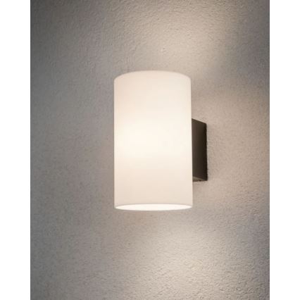 Paulmann 94186 - 1xE27/15W IP54 Udendørs væglampe TUBE 230V