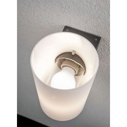 Paulmann 94186 - 1xE27/15W IP54 Udendørs væglampe TUBE 230V