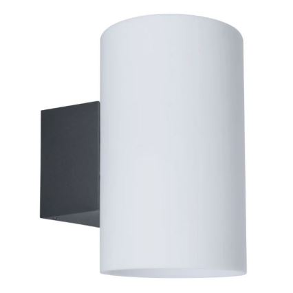 Paulmann 94186 - 1xE27/15W IP54 Udendørs væglampe TUBE 230V