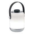 Paulmann 94210 - Udendørs lampe dæmpbar LED/1,6W IP44 CLUTCH 3,7V 2000 mAh