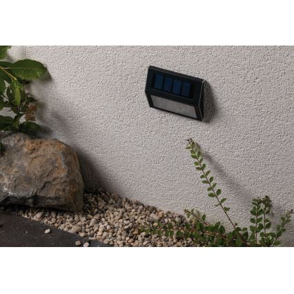 Paulmann 94234 - LED/0,05W IP44 Udendørs solcellelampe med sensor DAYTON 1,2V 400 mAh