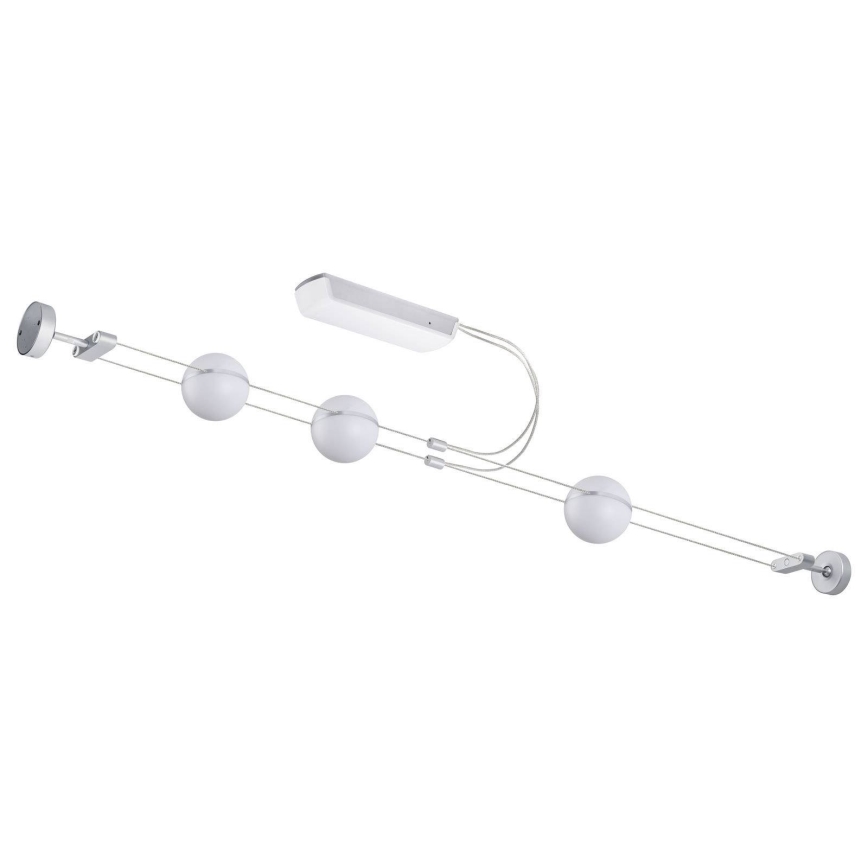 Paulmann 94237 - Loftlampe TOM 3xLED/3,6W 230V