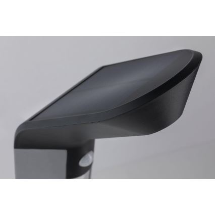 Paulmann 94252 - Soldrevet udendørs lampe med sensor SOLEY 230V  LED/1,2W IP44