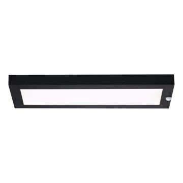 Paulmann 94256_1 - LED/10W IP44 Udendørs loftlampe med sensor 230V