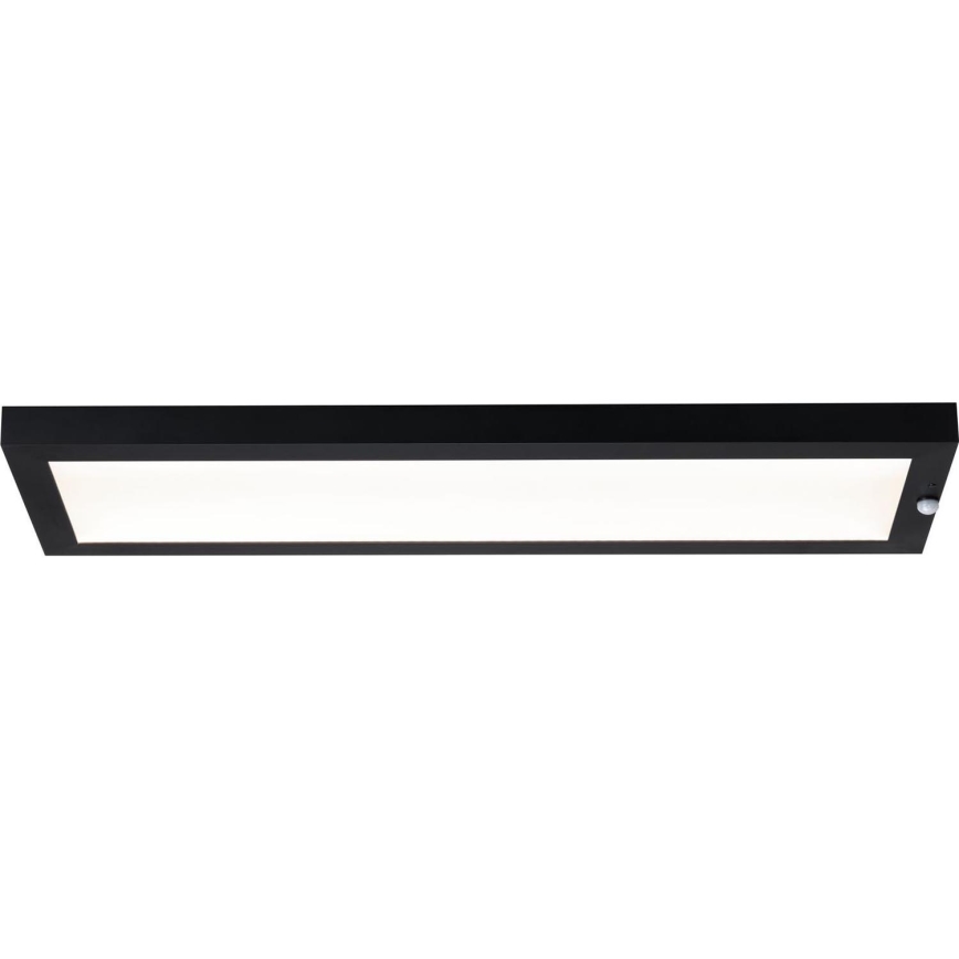 Paulmann 94257_1 - LED/19W IP44 Udendørs loftlampe med sensor 230V