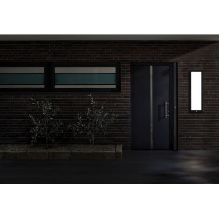 Paulmann 94257_1 - LED/19W IP44 Udendørs loftlampe med sensor 230V