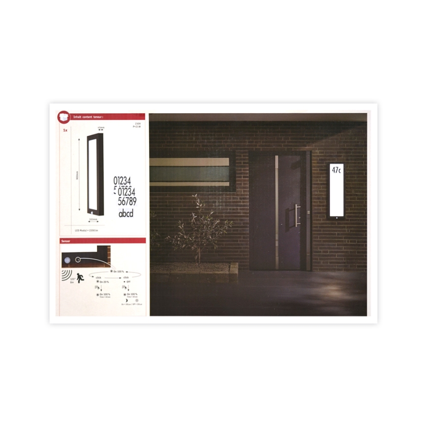 Paulmann 94257_1 - LED/19W IP44 Udendørs loftlampe med sensor 230V