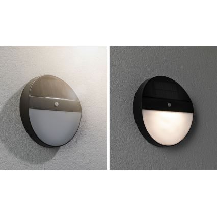 Paulmann 94264 - Udendørs solcellelampe med sensor LED/1W IP44 ELOISE 3,7V
