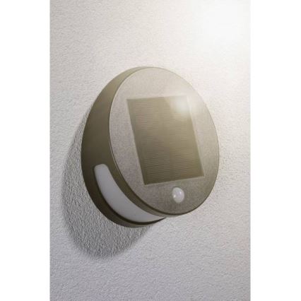 Paulmann 94265 - LED/3W IP44 Udendørs solcellelampe med sensor HELENA 3,7V 1800 mAh