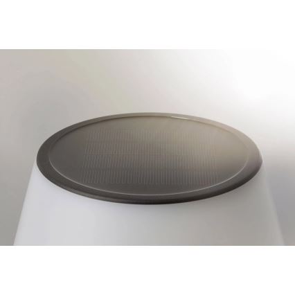 Paulmann 94309 - Solcellelampe dæmpbar LED/0,8W IP44  LILLESOL 3,7V 2000 mAh