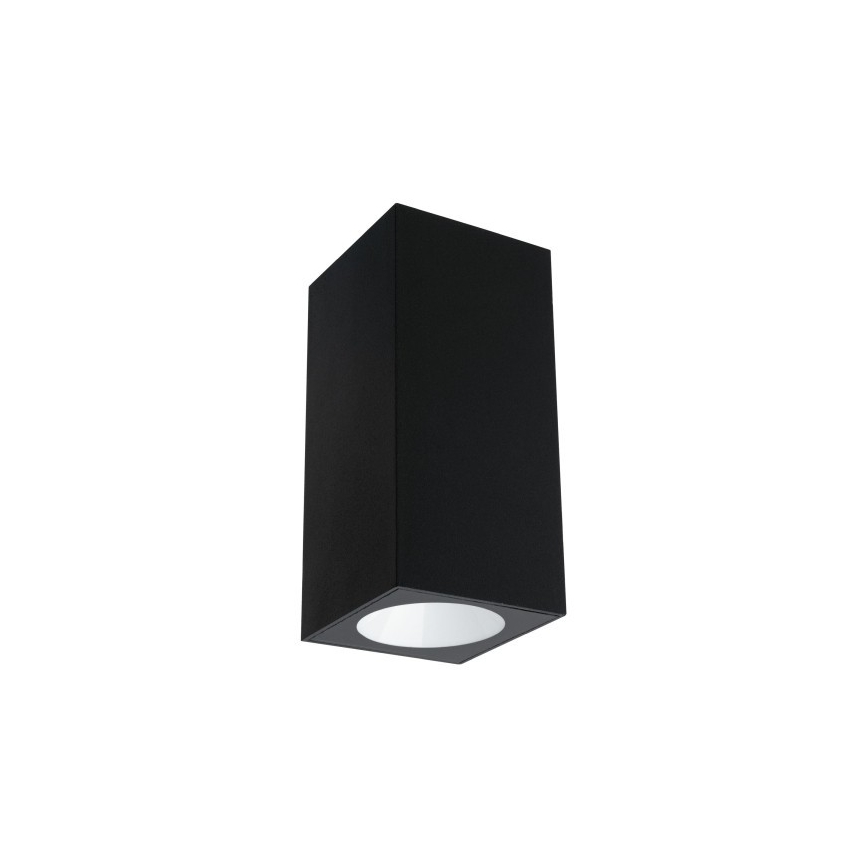Paulmann 94328 - Udendørs væglampe 2xLED/2,8W IP44 FLAME 230V antracit