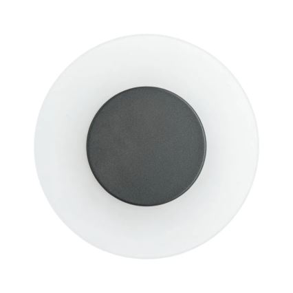 Paulmann 94409 - LED/4W IP44 Udendørs væglampe CIRCEA 230V