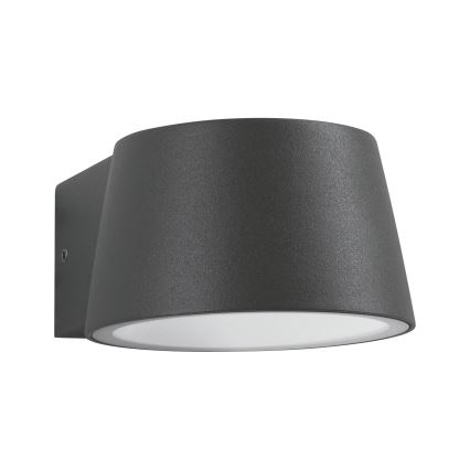 Paulmann 94452 - Udendørs væglampe LED/6W IP44 CAPEA 230V