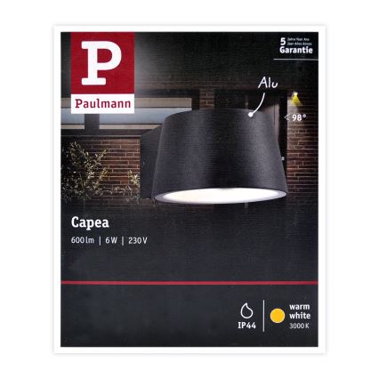 Paulmann 94452 - Udendørs væglampe LED/6W IP44 CAPEA 230V