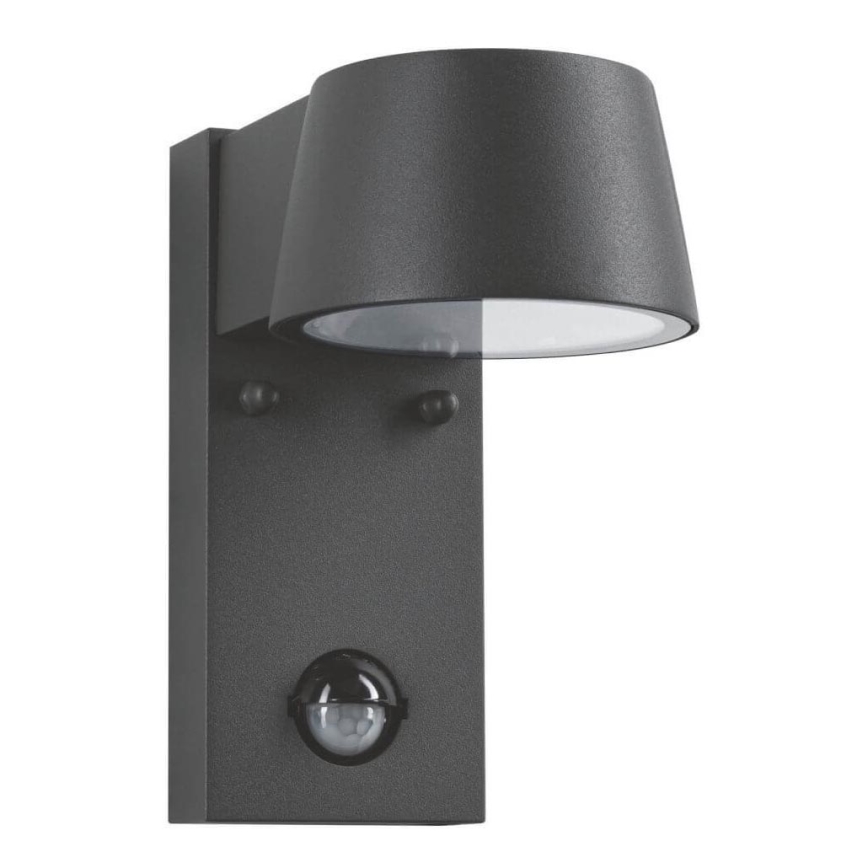 Paulmann 94453 - Udendørs væglampe med sensor LED/6W IP44 CAPEA 230V