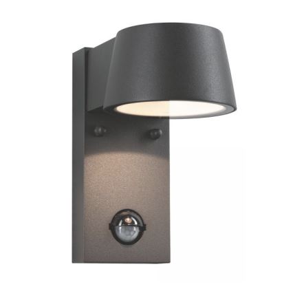 Paulmann 94453 - Udendørs væglampe med sensor LED/6W IP44 CAPEA 230V