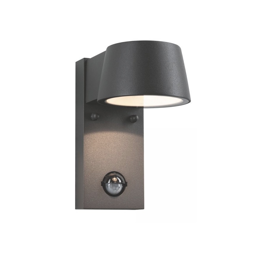 Paulmann 94453 - Udendørs væglampe med sensor LED/6W IP44 CAPEA 230V