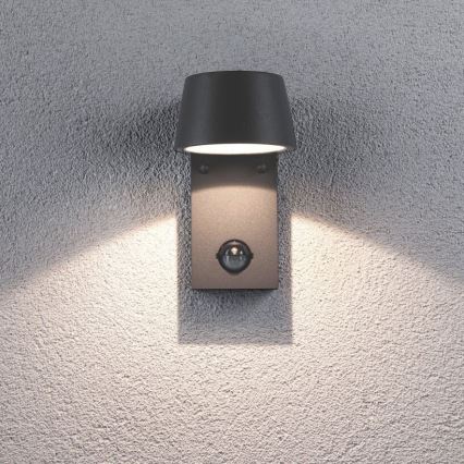 Paulmann 94453 - Udendørs væglampe med sensor LED/6W IP44 CAPEA 230V