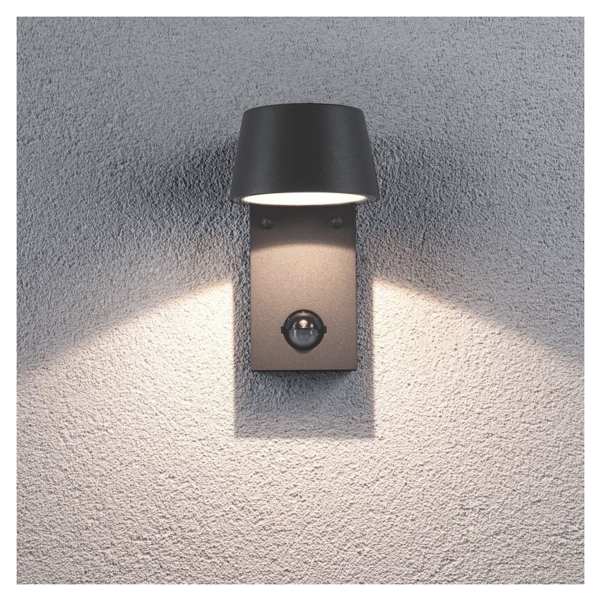 Paulmann 94453 - Udendørs væglampe med sensor LED/6W IP44 CAPEA 230V