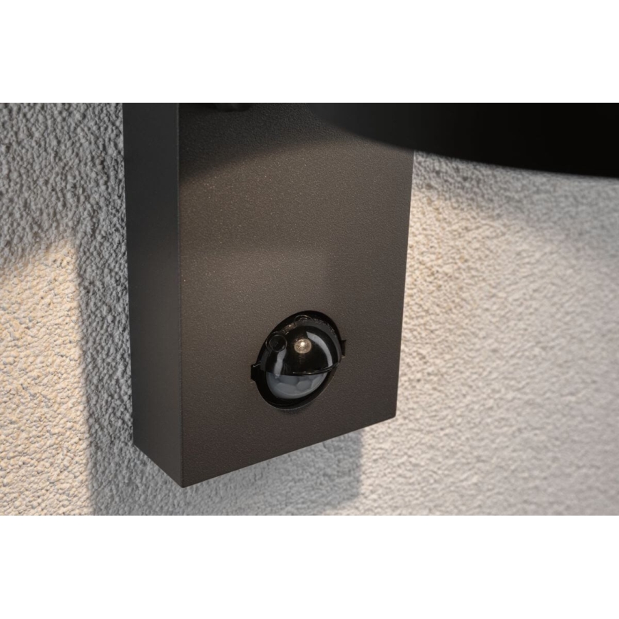 Paulmann 94453 - Udendørs væglampe med sensor LED/6W IP44 CAPEA 230V