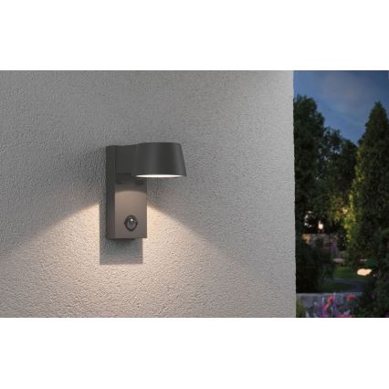 Paulmann 94453 - Udendørs væglampe med sensor LED/6W IP44 CAPEA 230V