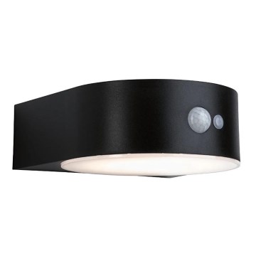 Paulmann 94570 - Soldrevet væglampe med sensor EILEEN LED/5,5W IP44 3,7V 2000 mAh