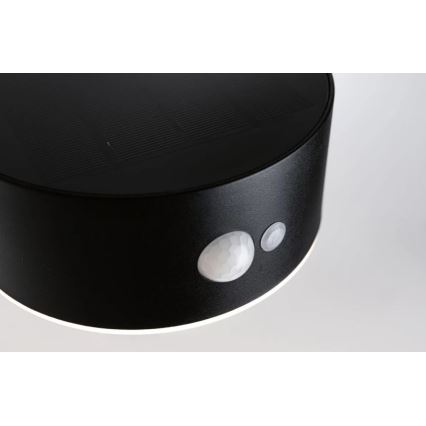 Paulmann 94570 - Soldrevet væglampe med sensor EILEEN LED/5,5W IP44 3,7V 2000 mAh