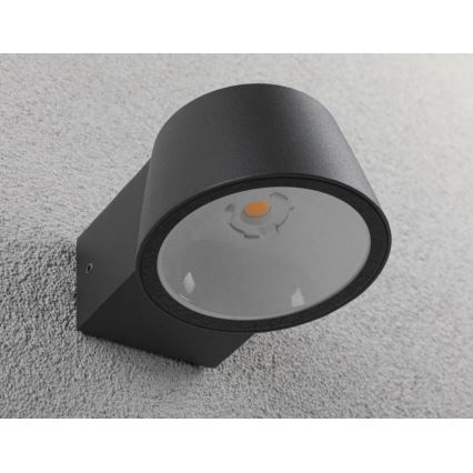 Paulmann 94713 - LED/6W IP44 Udendørs væglampe CAPERA 230V