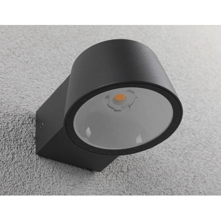 Paulmann 94713 - LED/6W IP44 Udendørs væglampe CAPERA 230V
