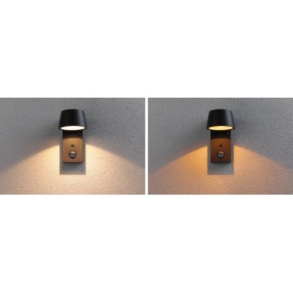 Paulmann 94714 - LED/6W IP44 Udendørs væglampe med sensor CAPERA 230V 2200/3000K
