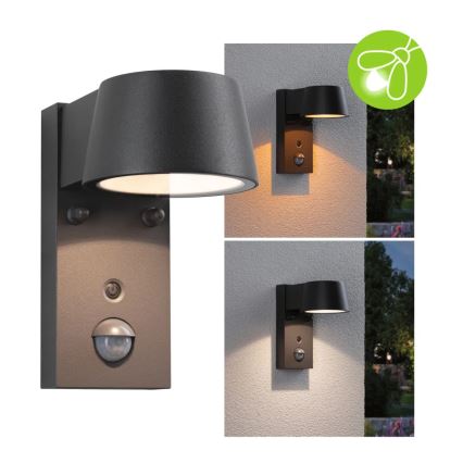 Paulmann 94714 - LED/6W IP44 Udendørs væglampe med sensor CAPERA 230V 2200/3000K