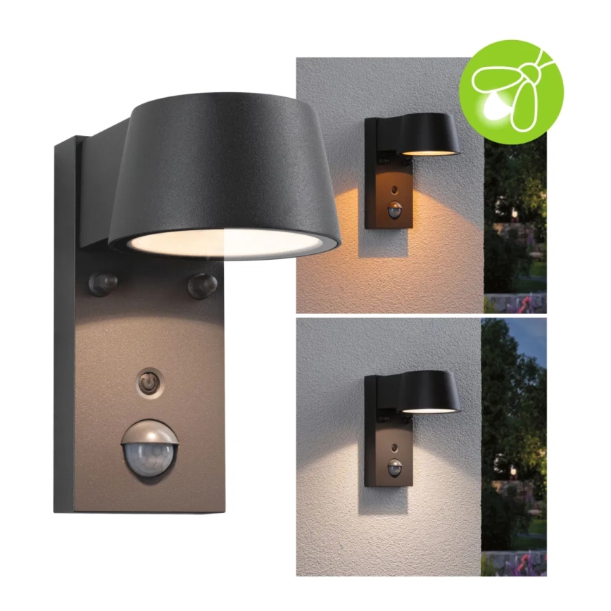 Paulmann 94714 - LED/6W IP44 Udendørs væglampe med sensor CAPERA 230V 2200/3000K