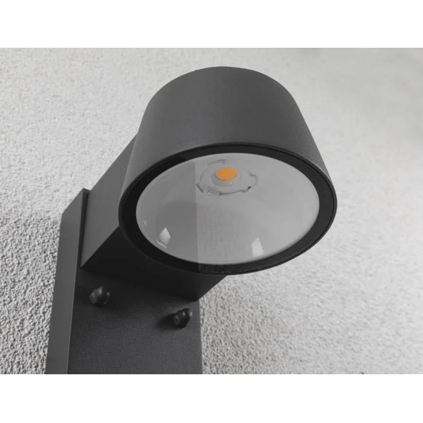 Paulmann 94714 - LED/6W IP44 Udendørs væglampe med sensor CAPERA 230V 2200/3000K