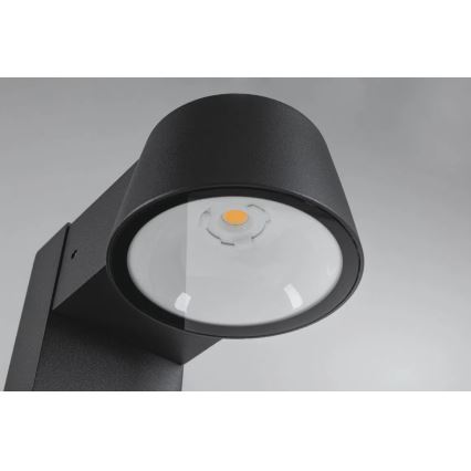 Paulmann 94715 - LED/6W IP44 Udendørslampe CAPERA 230V