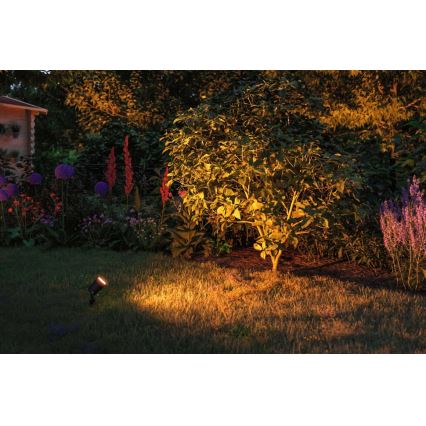 Paulmann 94731 - LED/4,3W IP65 Udendørslampe SPOT 230V