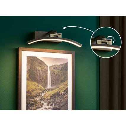 Paulmann 95559 - LED/6W billedlampe BENTO 230V 30 cm messing