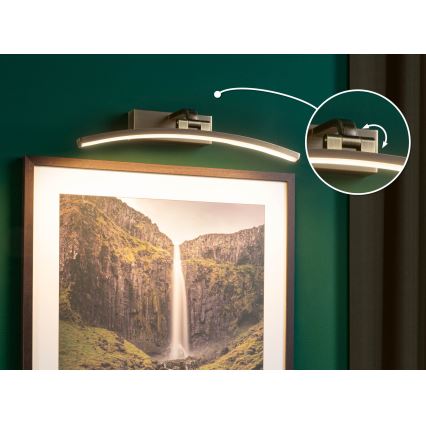 Paulmann 95560 - LED/8,5W billedlampe BENTO 230V 40 cm messing