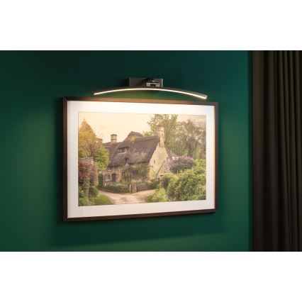 Paulmann 95561 - LED/10W billedlampe BENTO 230V 50 cm messing