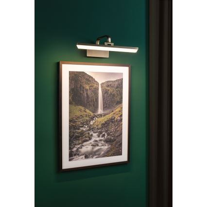 Paulmann 95569 - LED/9,5W billedlampe RENAN 230V 40 cm messing